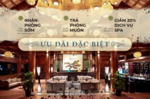 Khu Nghỉ Dưỡng và Spa Tam Cốc La Montagne