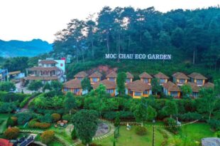 Khu nghỉ dưỡng Mộc Châu Eco Garden