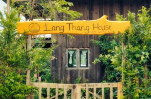 Lang Thang House