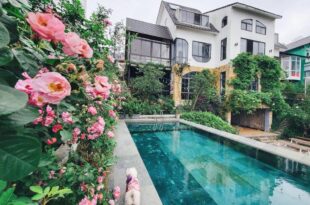 Le vent Tam Đảo homestay