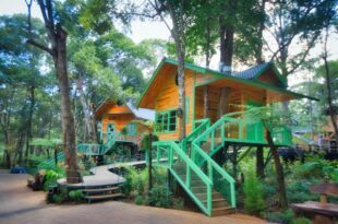 Măng Đen Treehouse Village Resort & Zipline