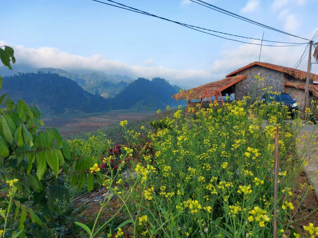 Mộc Châu Peachy Garden Homestay