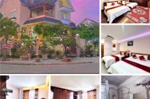 Ngoc Phuong Anh Homestay