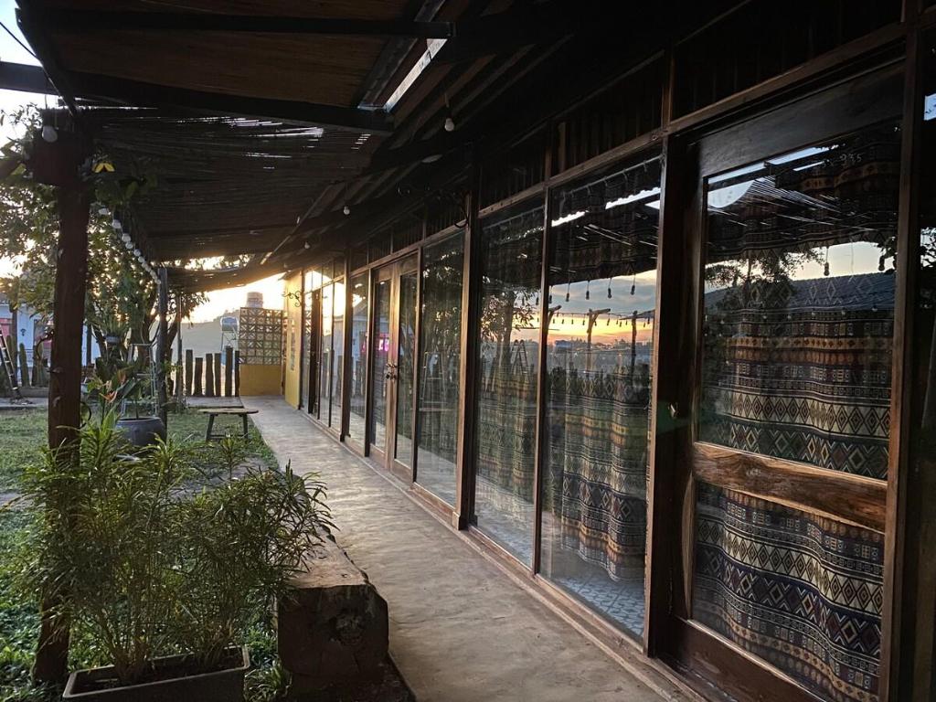 Nếp Vàng Nhà của Nếp