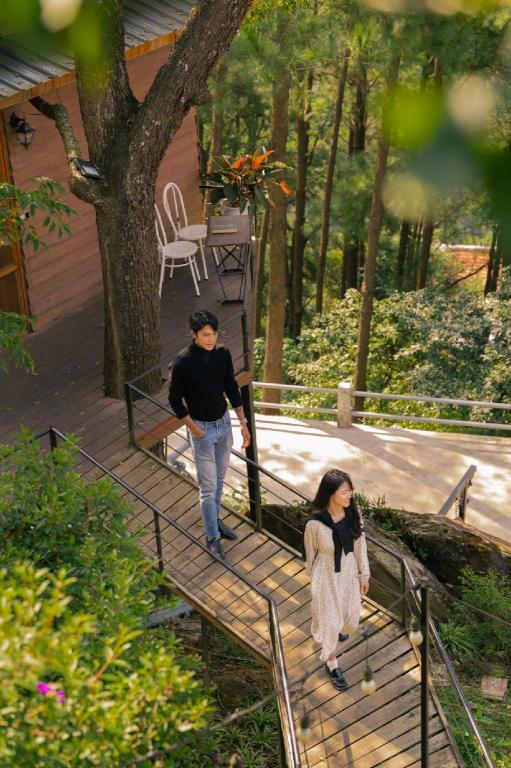 Chillout Village Tam Đảo – Tree House