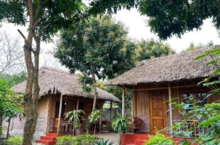 Ninh Bình Bamboo Farmstay