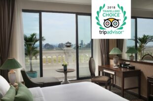 Ninh Binh Hidden Charm Hotel And Resort