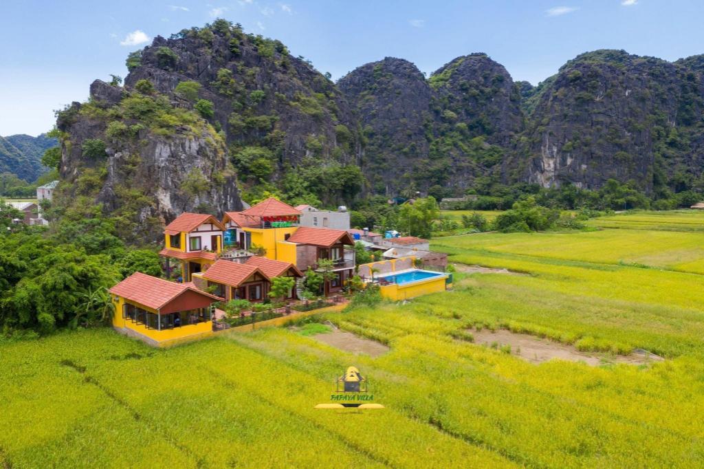 Papaya Bungalow & Rice fields