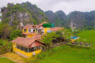 Rose & Rice field Bungalow