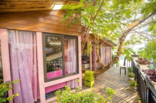 Roses Villa Tam Dao – Venuestay