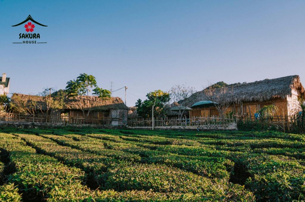 SAKURA House Vườn Đào