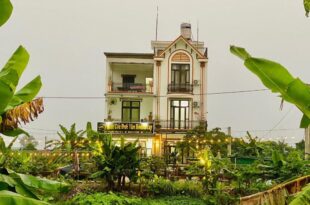 TAM CỐC ĐỨC VÂN HOMESTAY