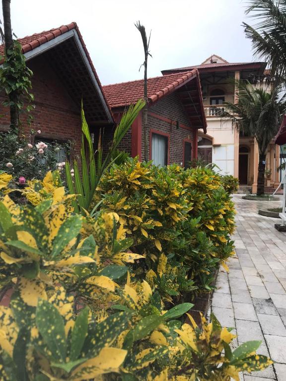 Tam Coc Green Garden Bungalow