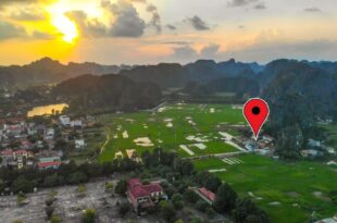 Tam Coc Riverside Homestay