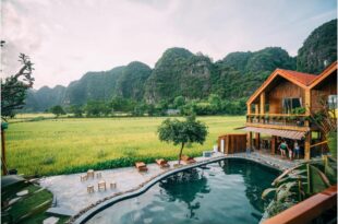 Tam Coc Windy Fields