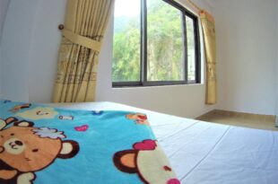 Thảo Nguyên Homestay