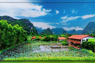 Trang An Homestay