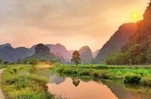 Trang an rice field homestay