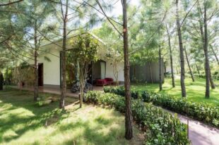 Villa R331 Forest Dai Lai Resort