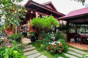 Vườn Trà HomeStay Măng Đen