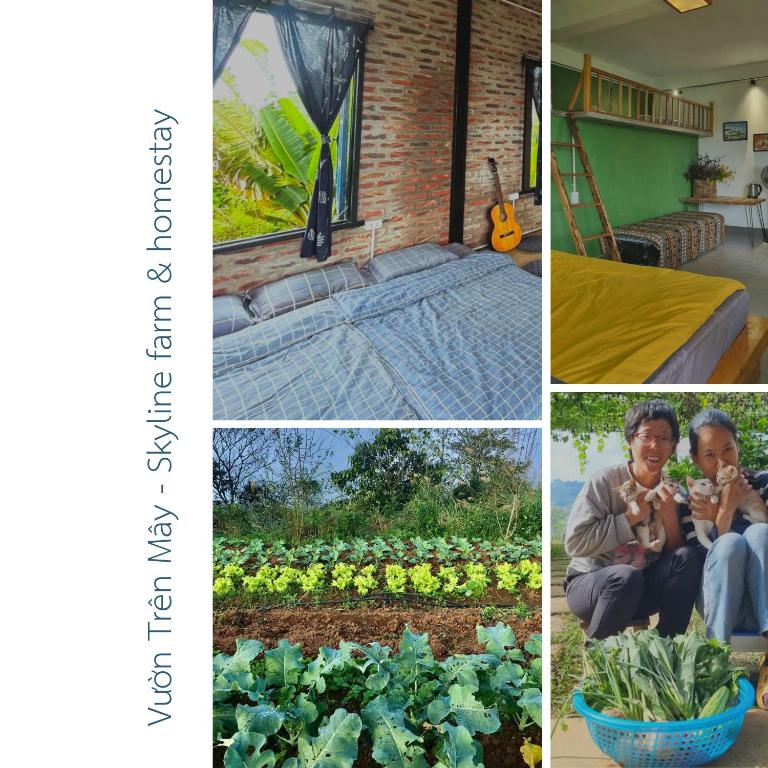 Vườn Trên Mây – Skyline Farm & Homestay