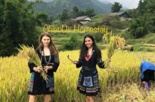 ChienDe Homestay