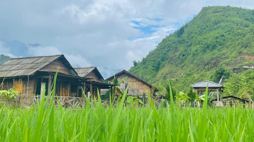 Eco Rice Fields House