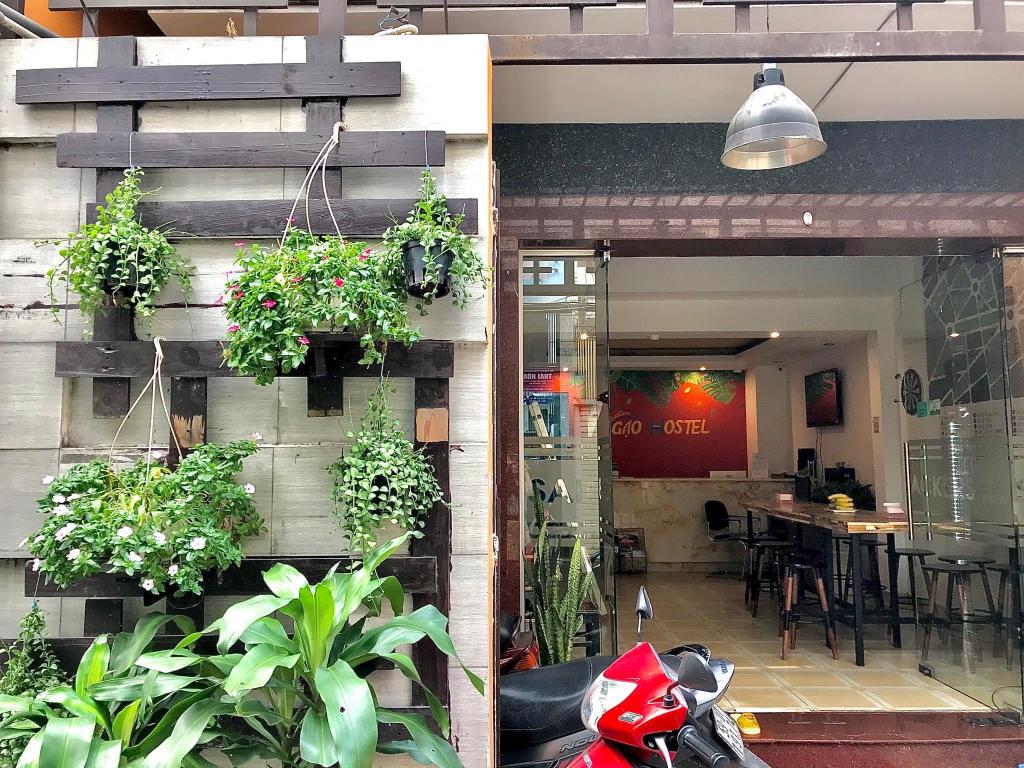 Ehome saigon gạo hostel