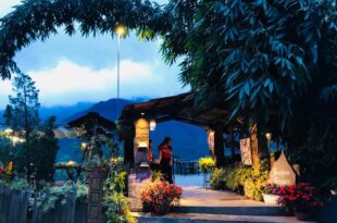 Fansipan Terrace Cafe and Homestay