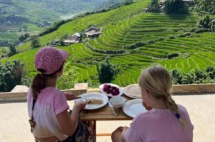 Hmong Hillside House