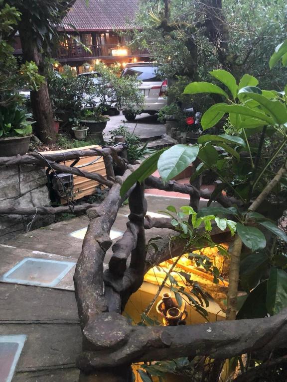 Homestay Coldwinter Sapa