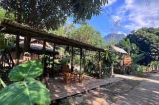 Homestay nhà của chi food&coffee