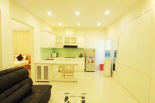 INDO Serviced Apartment