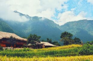 Joy House Indigo Batik