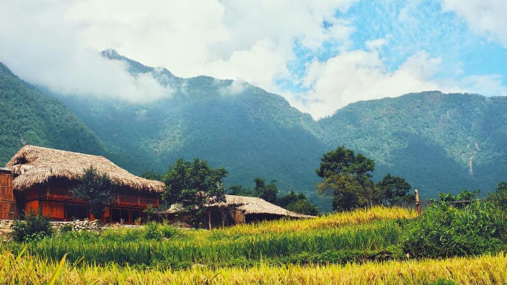 Joy House Indigo Batik