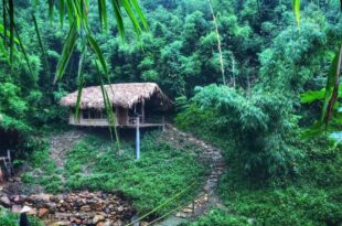 Lazycrazy Cabin in the Bamboo Forest