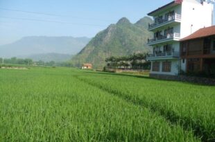 Mai Chau Valley View Hotel