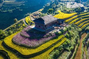 Mu Cang Chai Big view homestay