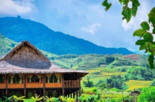 Ngũ Chỉ Sơn Trekking Sapa