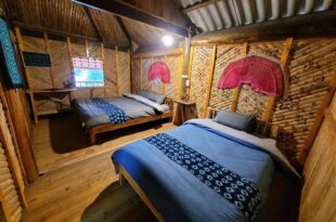 Pine tree hostel