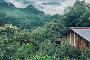 Private House in SaPa centre