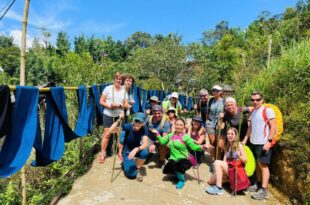 SaPa Big Tree Hmong Homestay