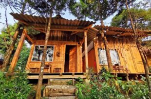 Sapa Jungle Homestay