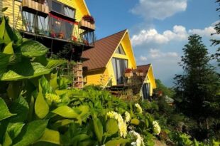 Sunny homstay Sapa – baby house!