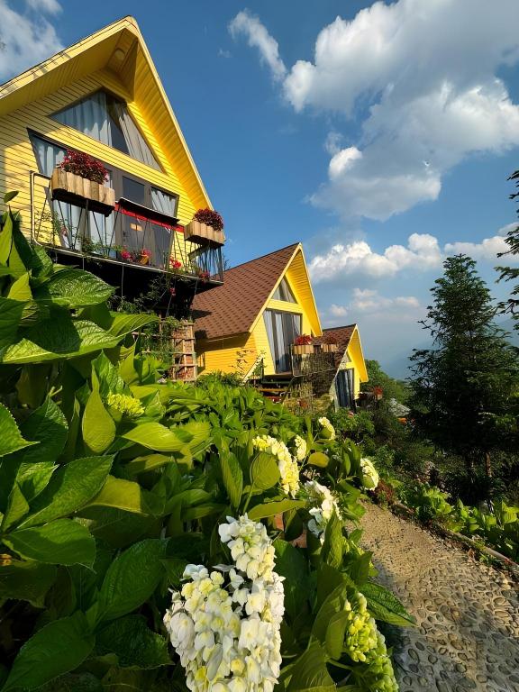 Sunny homstay Sapa – baby house!