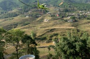 The Zen House Sapa