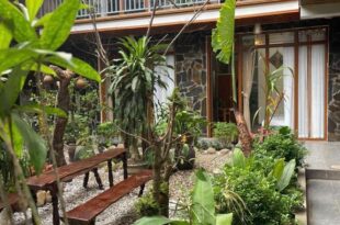 Viet Anh Mai Chau Homestay