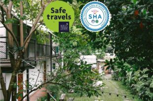 The Yard Hostel Bangkok