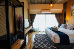 Tree​ for​ rest​ poshtel