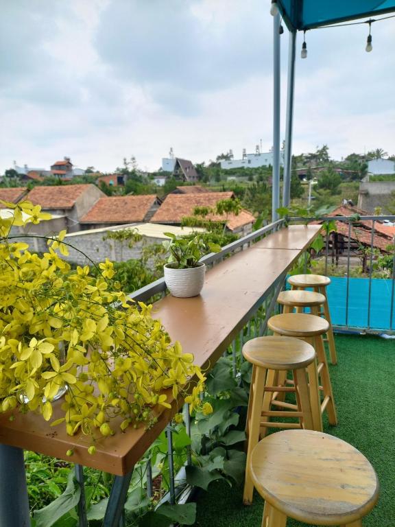 B.A Homestay Bảo Lộc